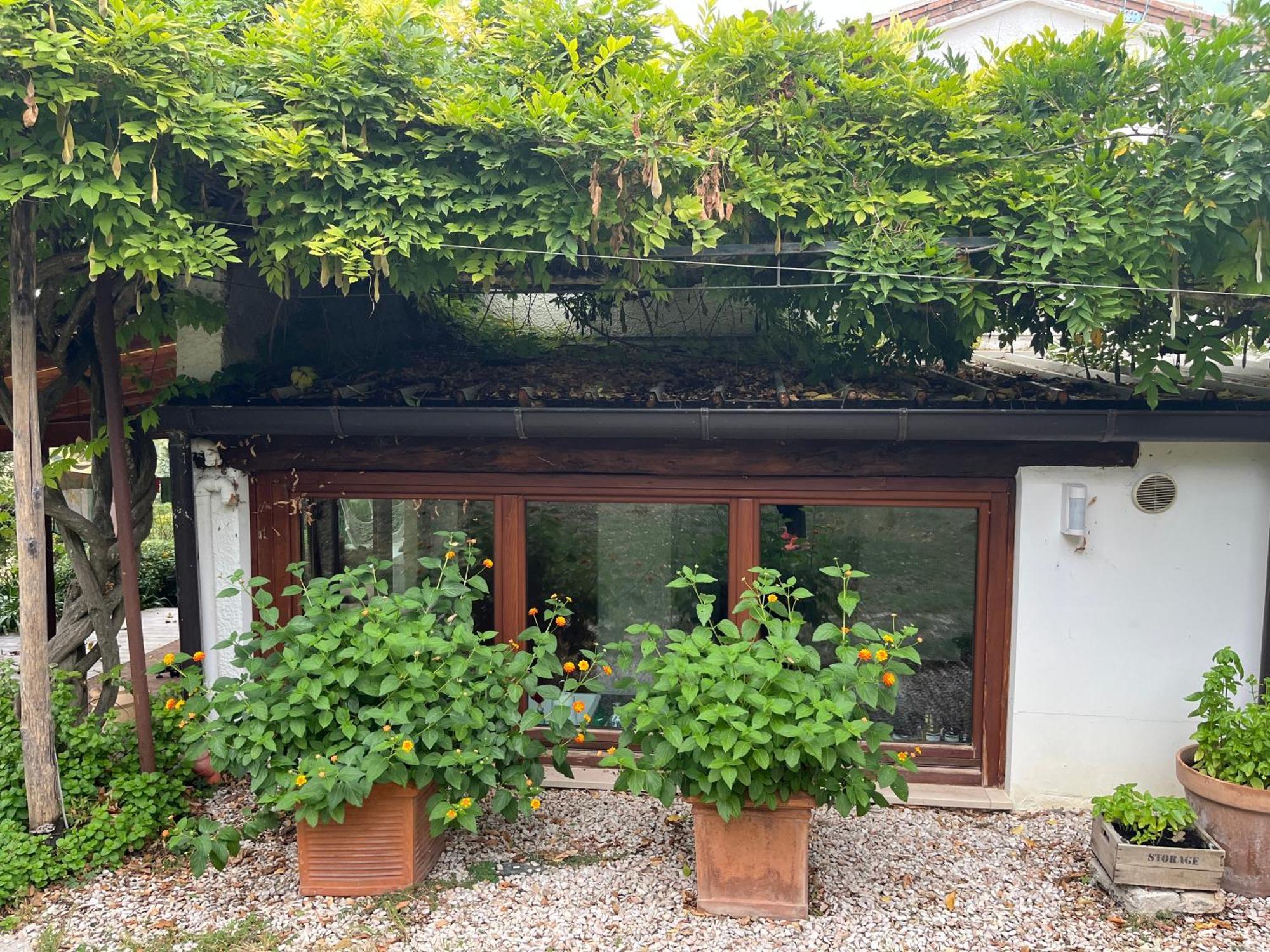Casa Sant Angelo Apartment Pesaro Exterior photo